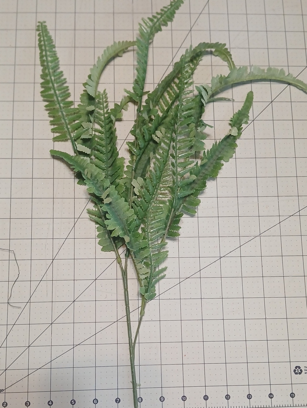 Artificial Fern Stem